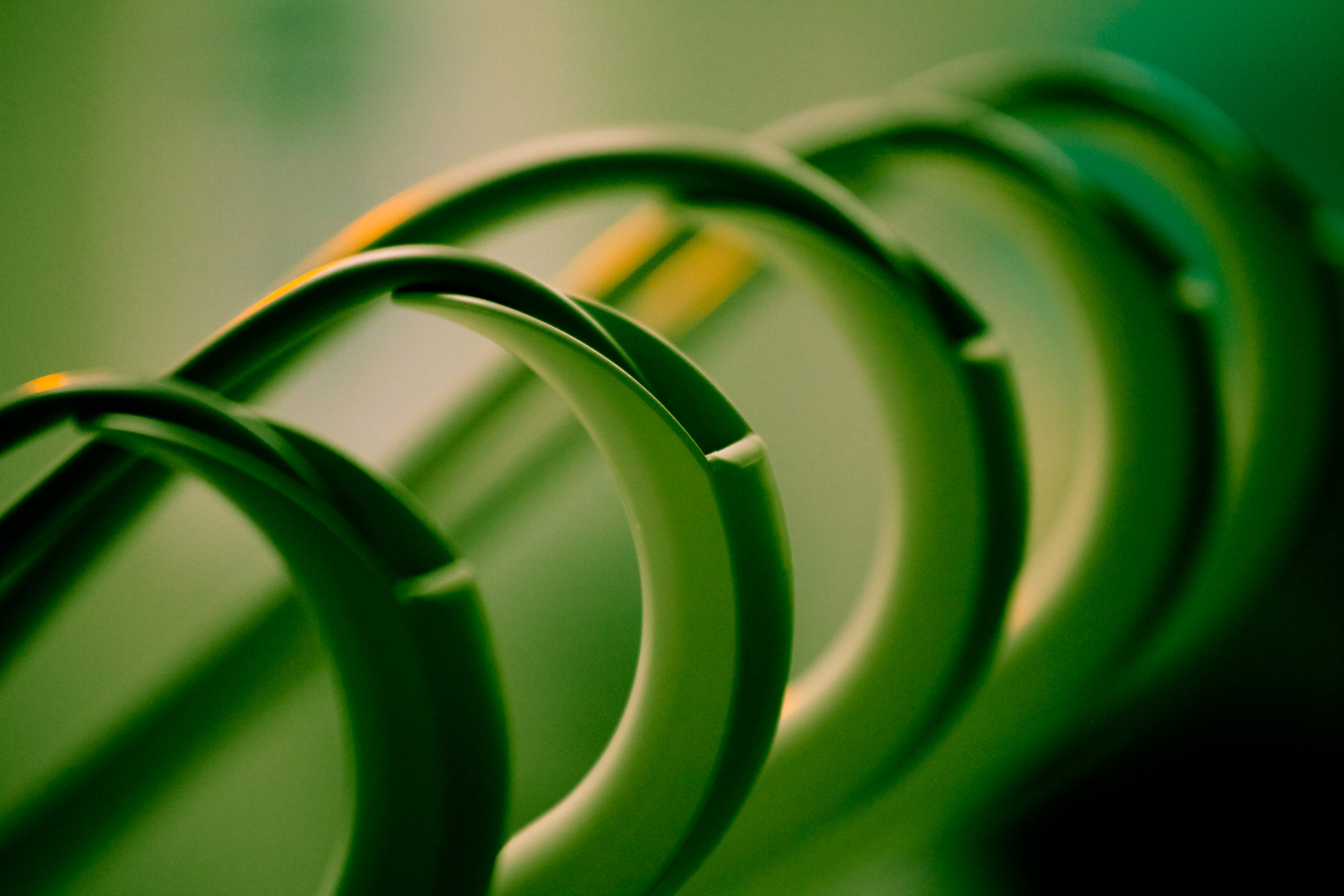 Banner Image 11
