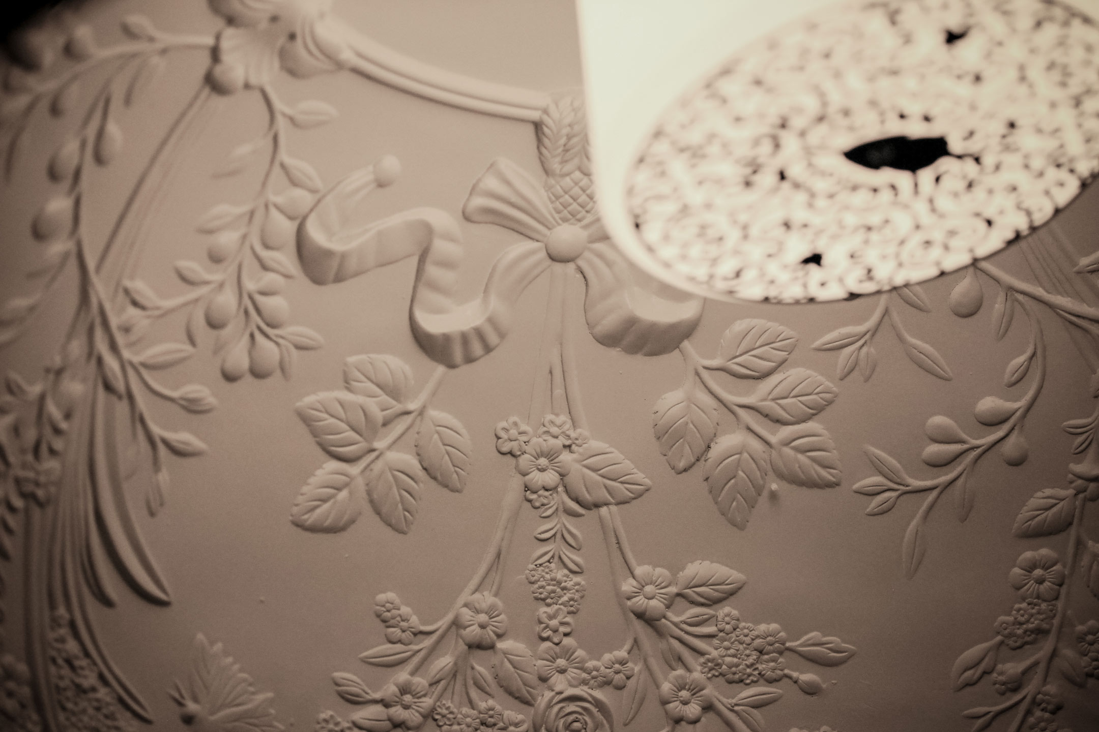 Banner Image 6